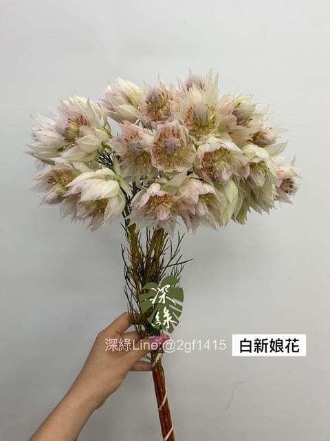 AIL4fc-rv1puypUvd48KnxJEqFYDd828WMs3wg8M-JZQm7on0WZX3M5q6AqBq86S9FpWfU2HjaTd47ln6meuhNfidfv5A7QkrzP9_nHrxZB7-e3i0MZ-jtGkyoWFOE1SJudR49sUuWAd7yAvrqFuWazQoTiW=w634-h845-s-no