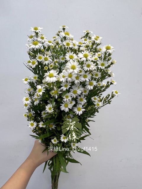 eZy Watermark_24-10-2024_12-24-50-7550下午-1729744026389