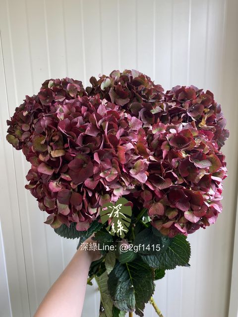 eZy Watermark_04-11-2024_08-00-12-6040下午-1730722568475