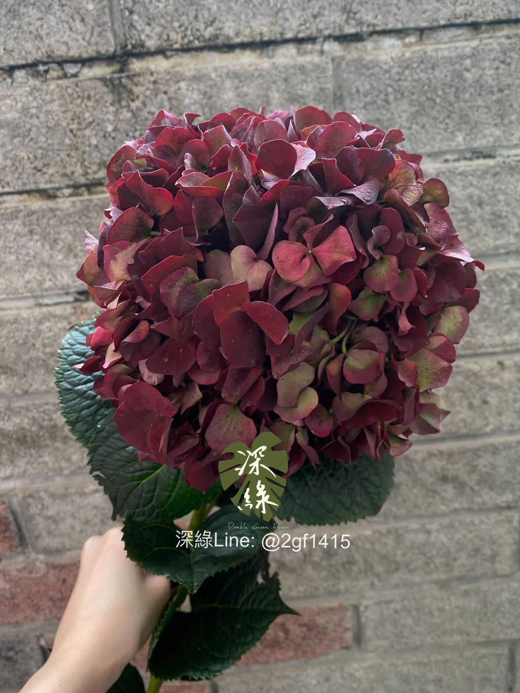eZy Watermark_04-11-2024_08-00-11-0310下午-1730722568659