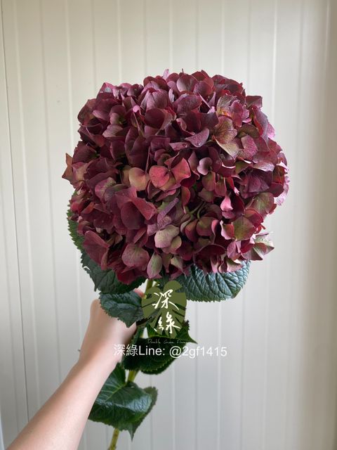 eZy Watermark_04-11-2024_08-00-13-3170下午-1730722568821