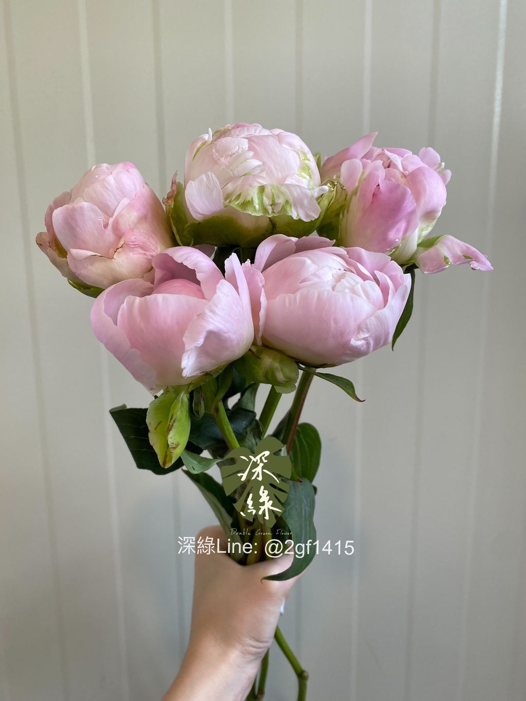 eZy Watermark_04-11-2024_08-00-02-7620下午-1730722632709