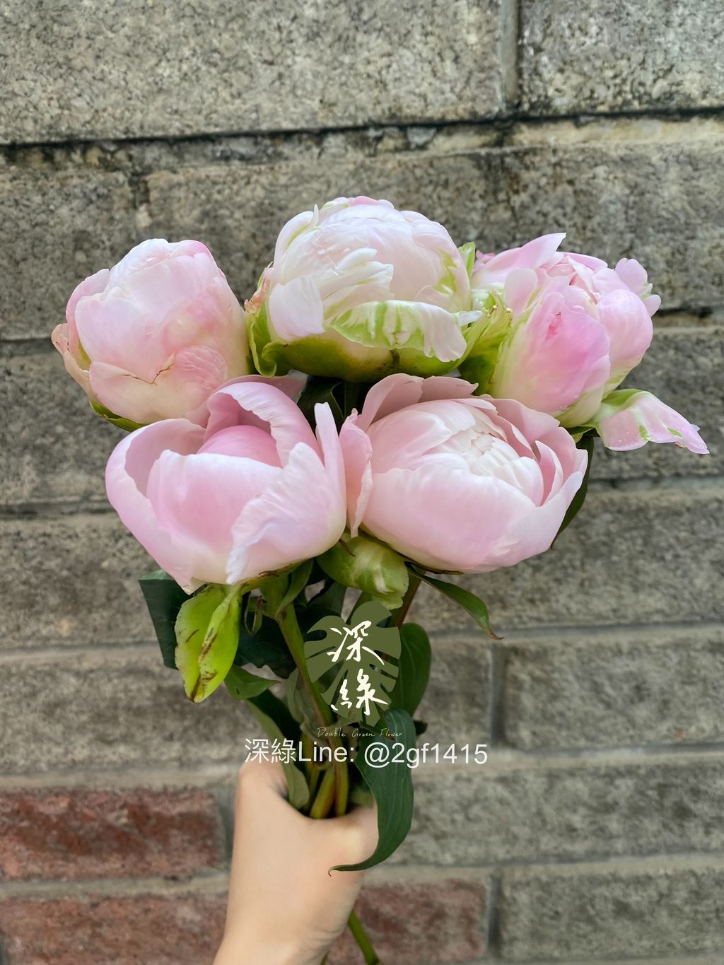 eZy Watermark_04-11-2024_07-59-59-8040下午-1730722632910
