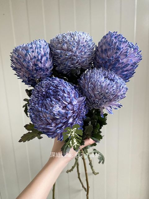 eZy Watermark_04-11-2024_07-59-59-0200下午-1730722757574