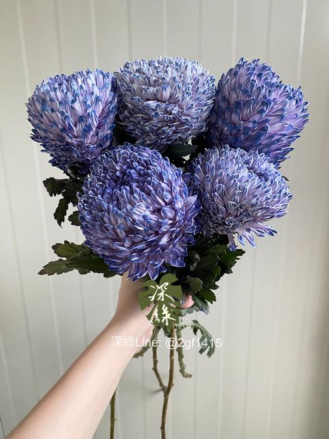 eZy Watermark_04-11-2024_07-59-58-2840下午-1730722757757