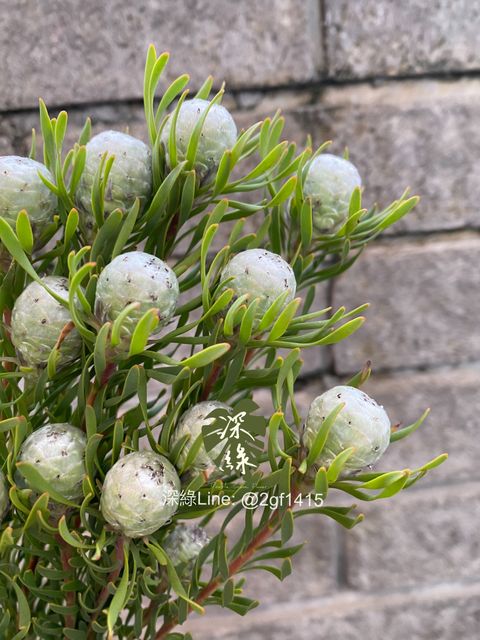 eZy Watermark_04-11-2024_08-00-03-5190下午-1730722985200