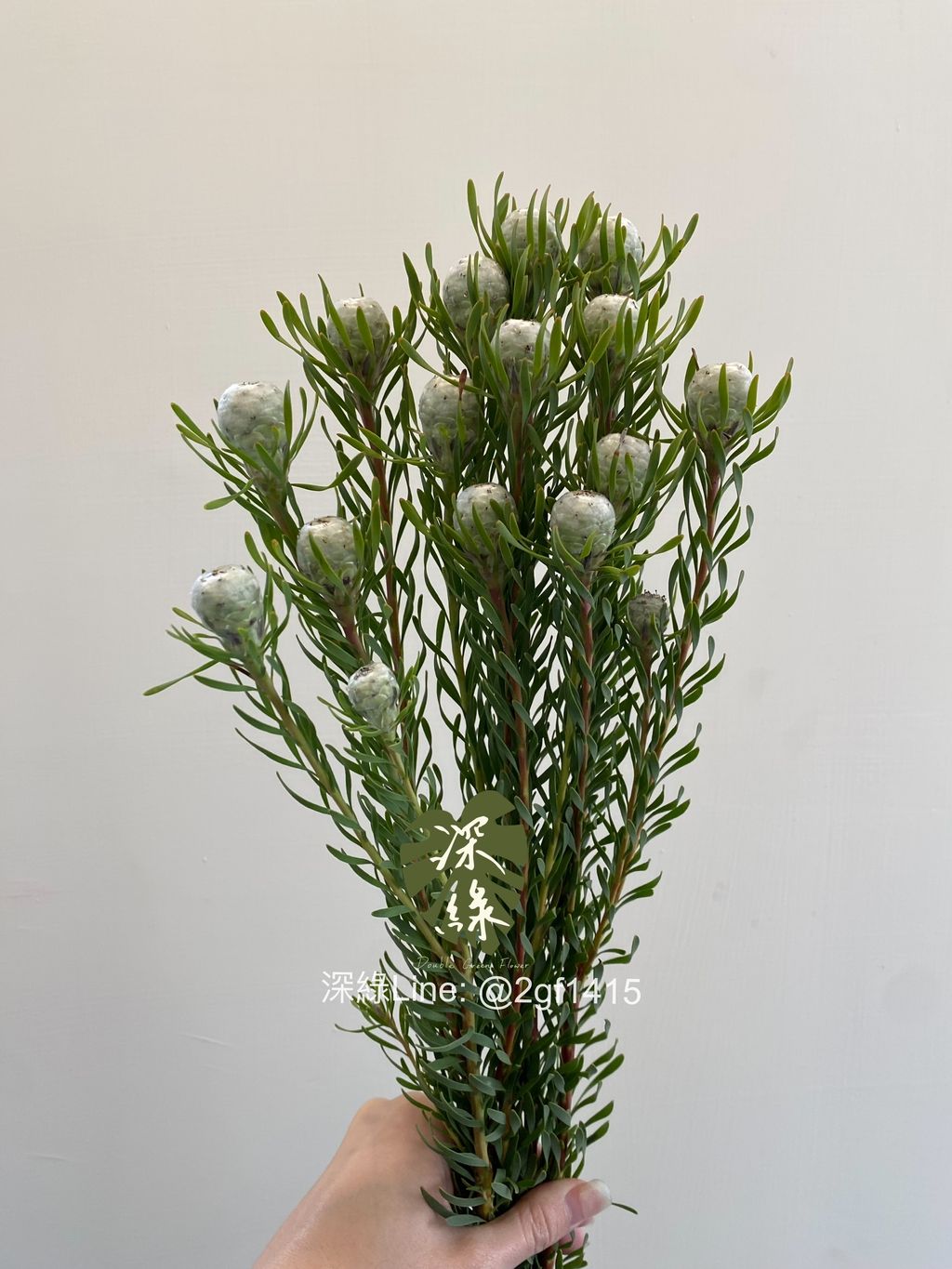 eZy Watermark_04-11-2024_08-00-04-2520下午-1730722985389