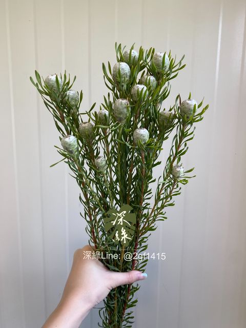 eZy Watermark_04-11-2024_08-00-05-0350下午-1730722985591