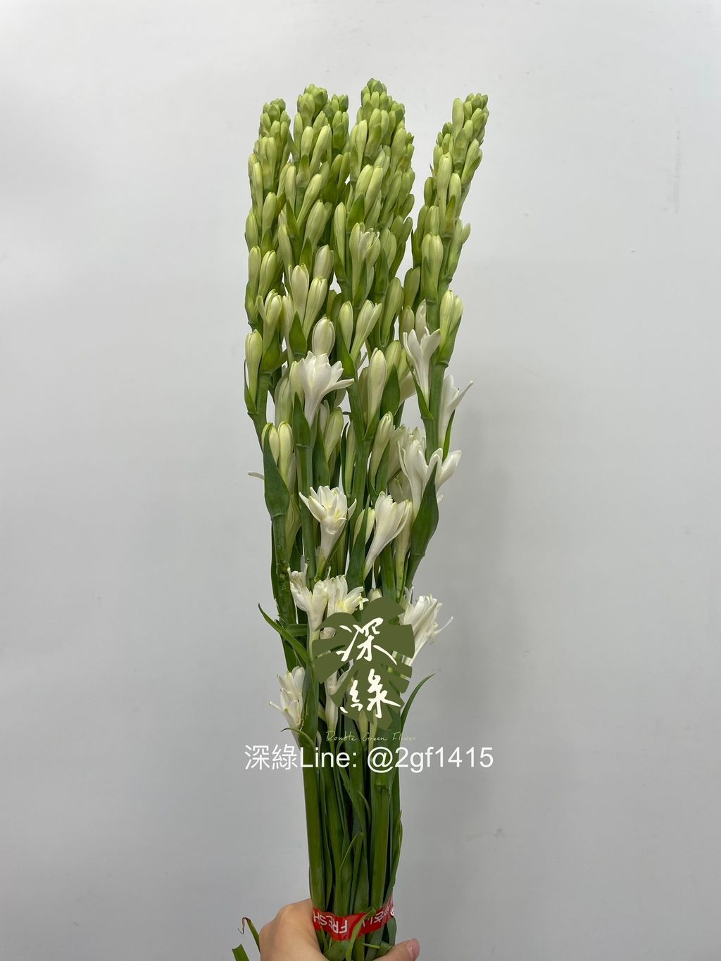 IMG_9155-1718947717832