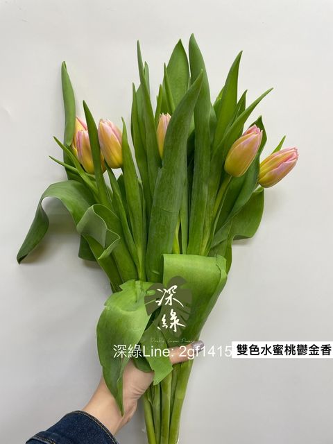 FA852058-0CB9-48FB-B29C-1200F6A6CCBC