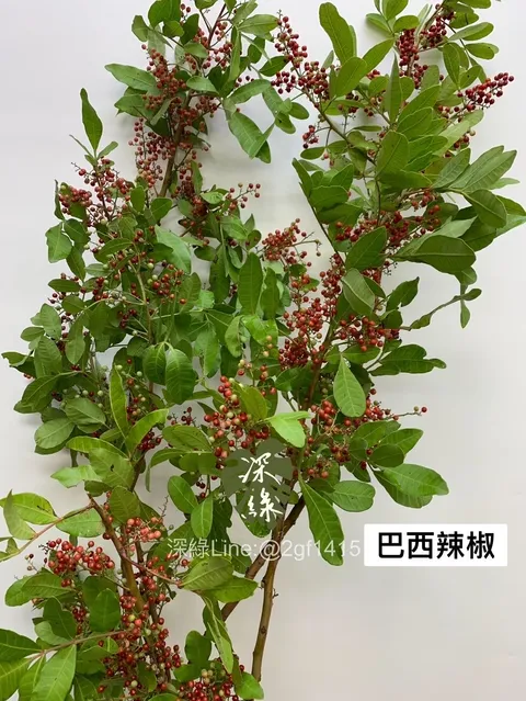 E219CE77-4416-42C6-8B91-A4E4E8BD3A24