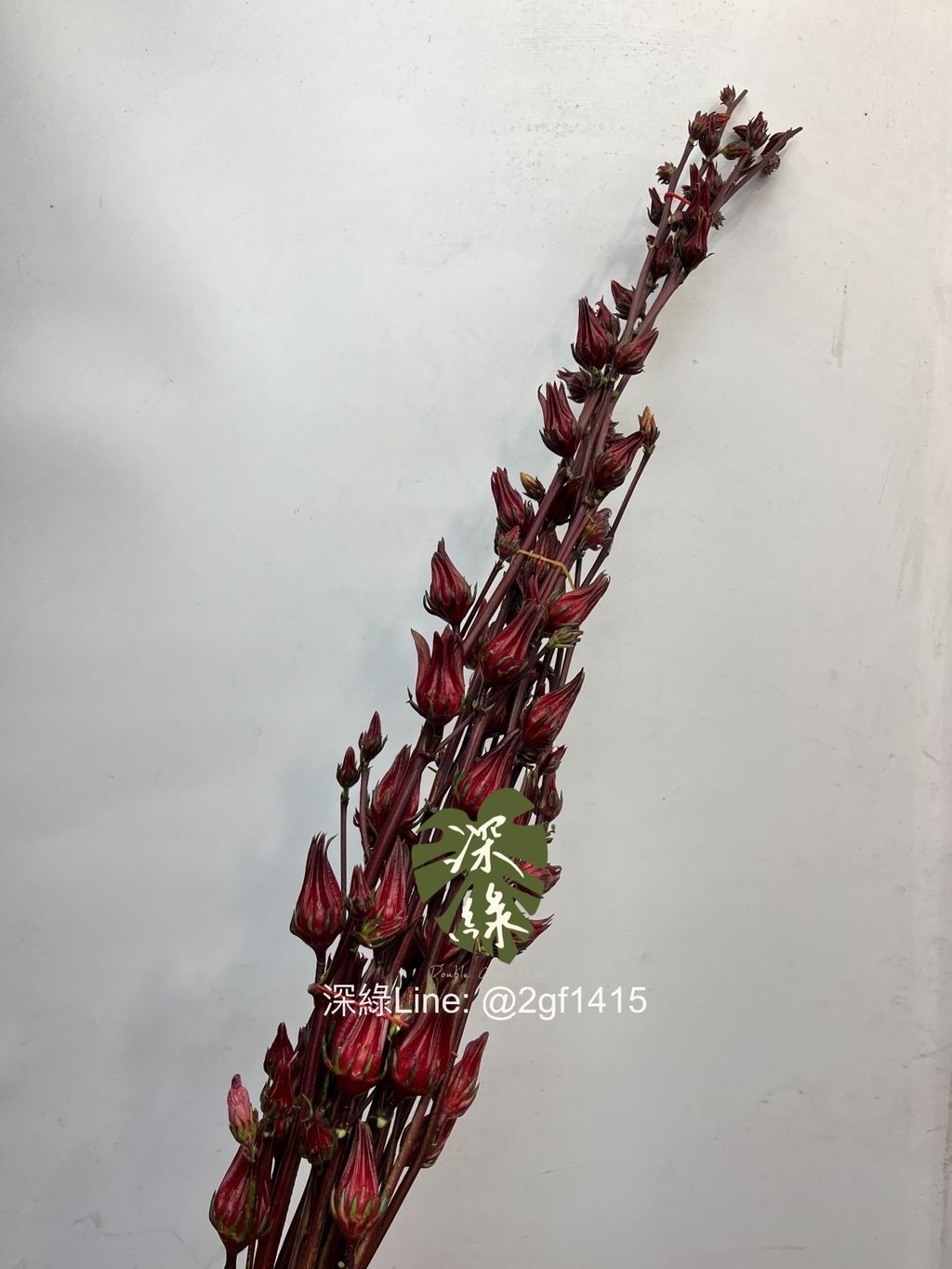 eZy Watermark_07-11-2024_12-35-31-2770下午-1730954173889