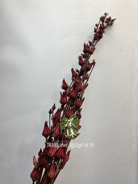 eZy Watermark_07-11-2024_12-35-31-2770下午-1730954173889