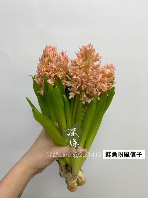 S__29548580