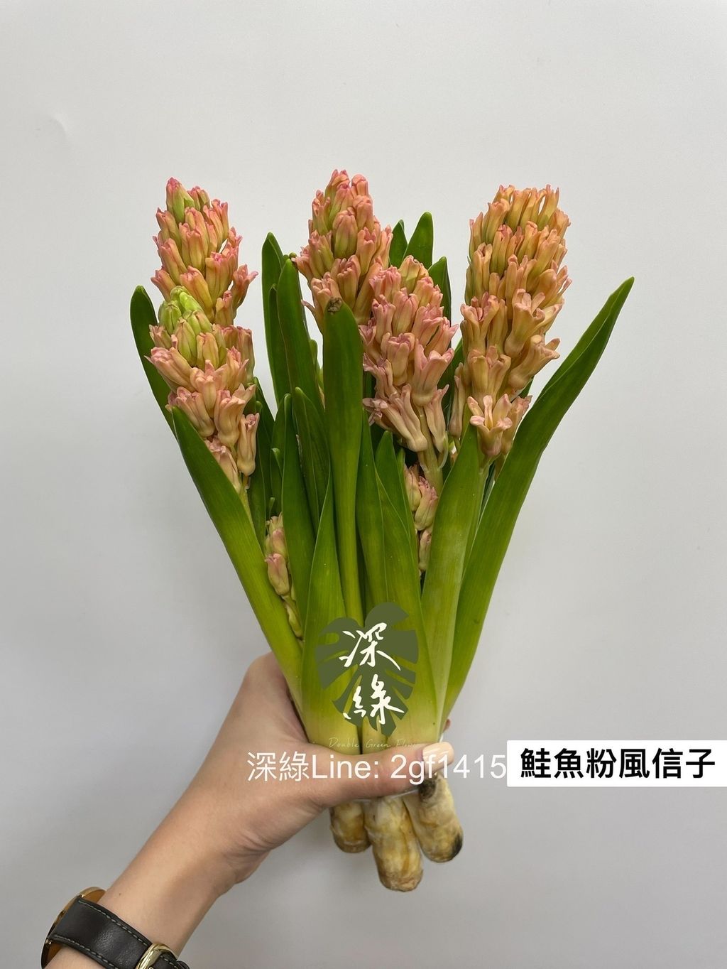 8CA55F8A-20DD-4561-A9ED-1A177335AEB4