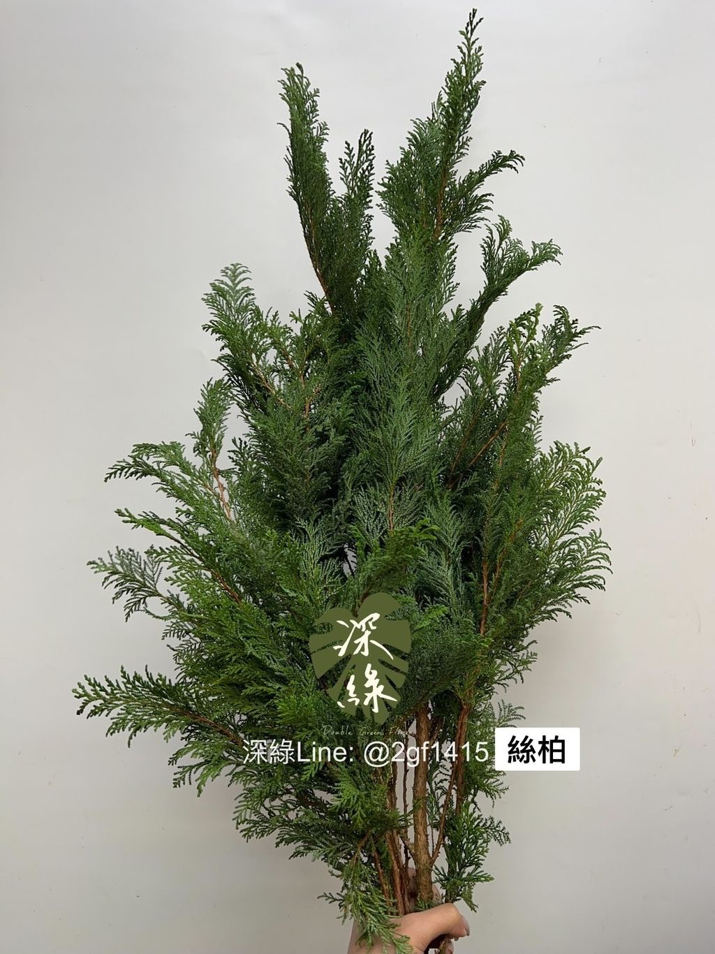 S__3514410