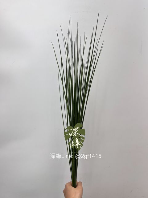 IMG_2946-1718086044258