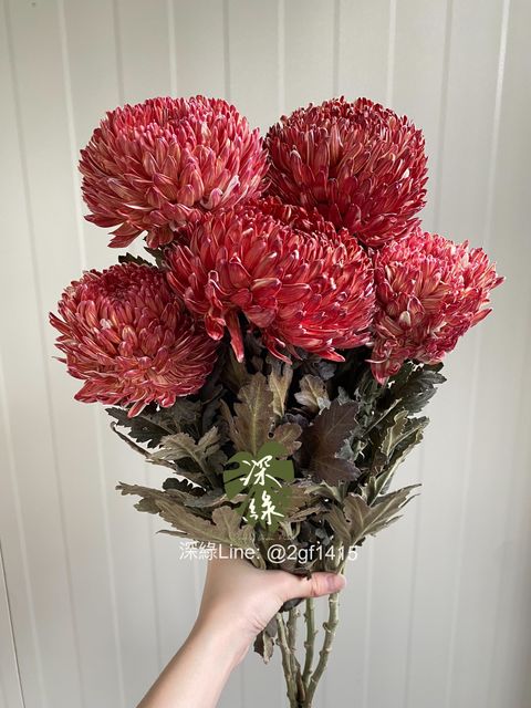 eZy Watermark_11-11-2024_04-34-42-2360下午-1731318552353