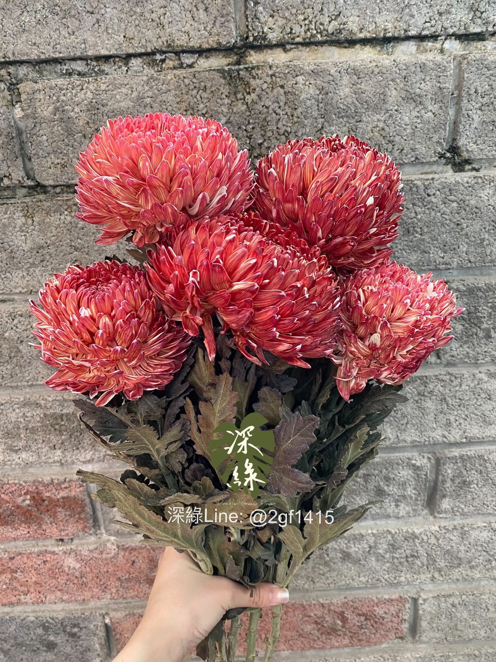 eZy Watermark_11-11-2024_04-34-41-3750下午-1731318552074