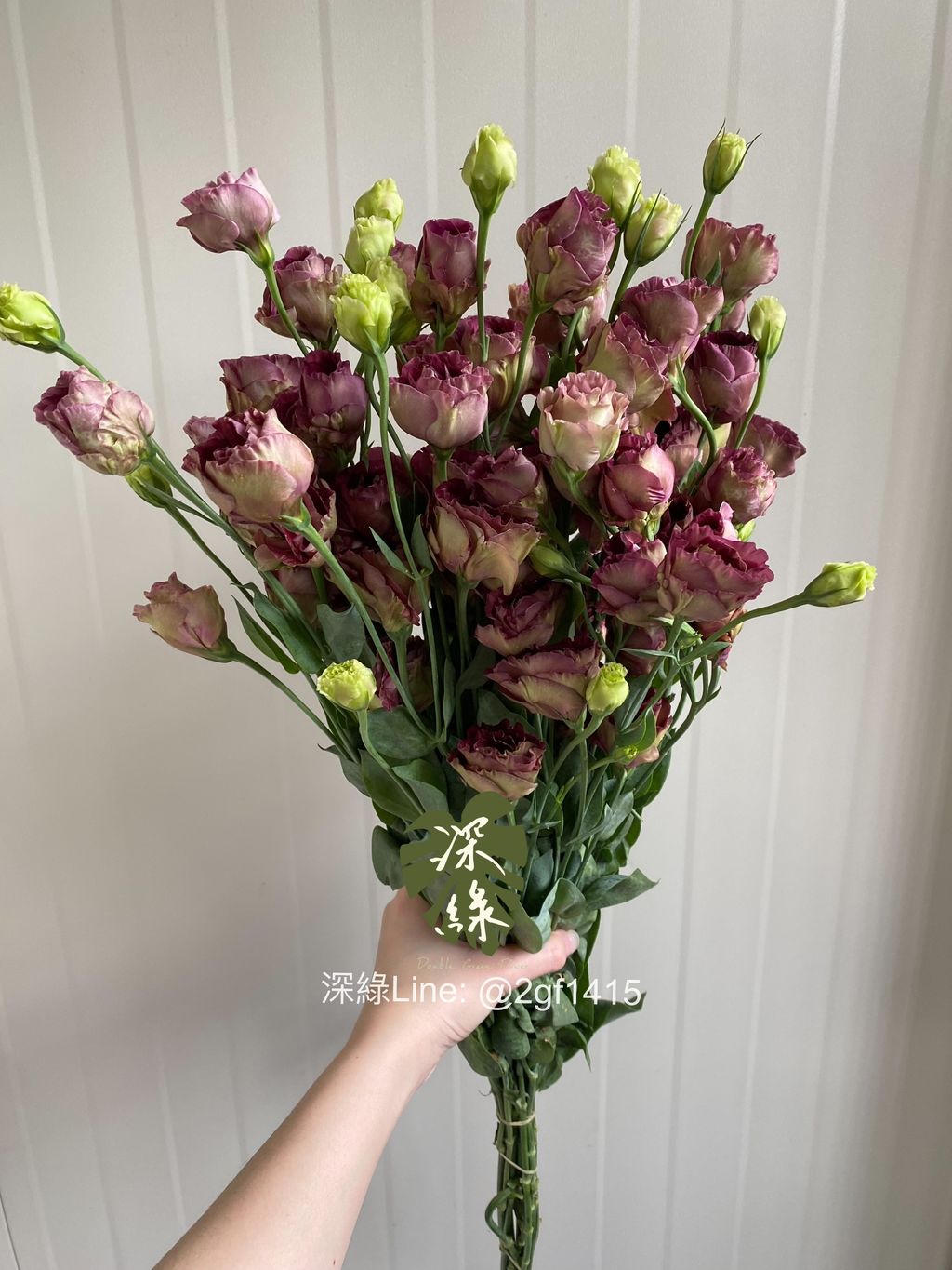 eZy Watermark_11-11-2024_04-34-45-3390下午-1731325923555