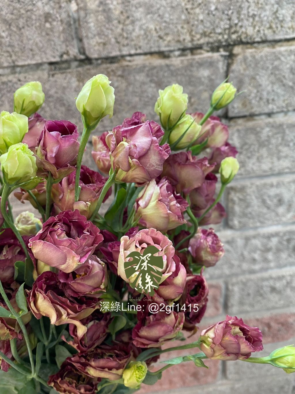 eZy Watermark_11-11-2024_04-34-43-8740下午-1731325923361