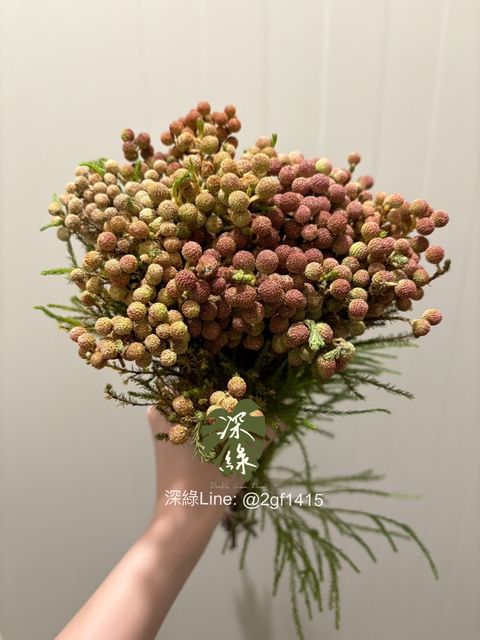 eZy Watermark_11-11-2024_09-09-02-1130下午-1731330629508