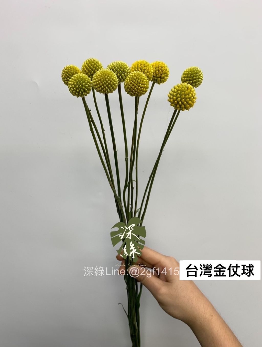 S__3407888