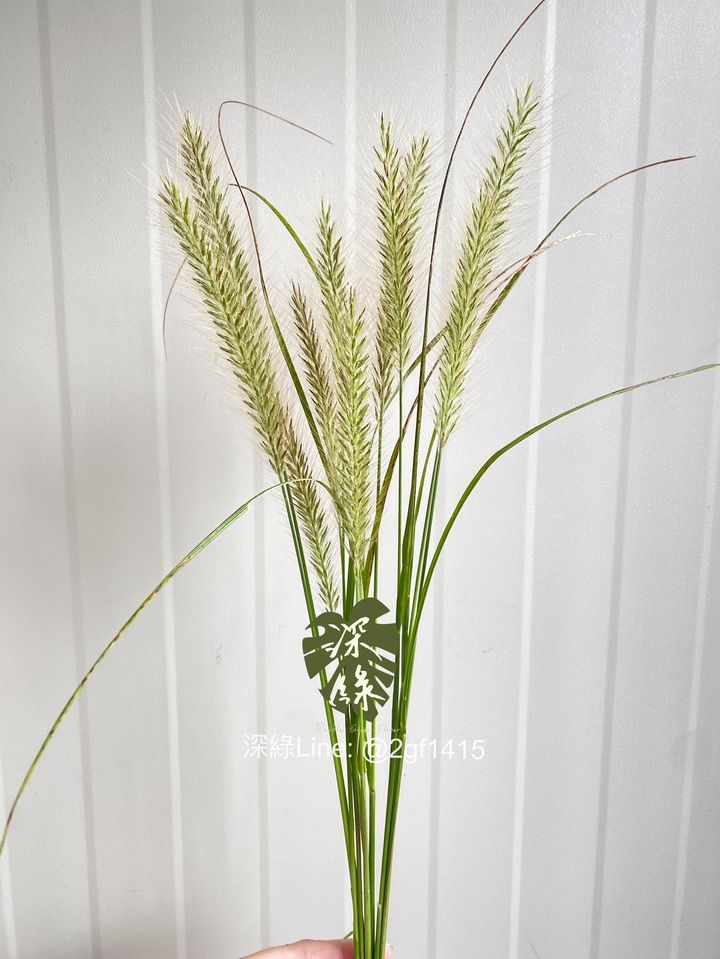 S__31473739_0