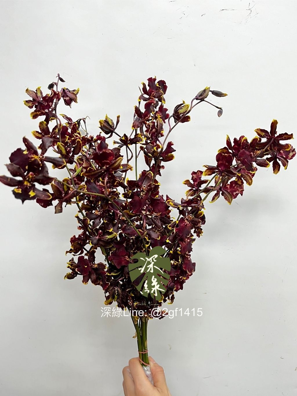 eZy Watermark_13-11-2024_12-10-22-5670下午-1731471196965