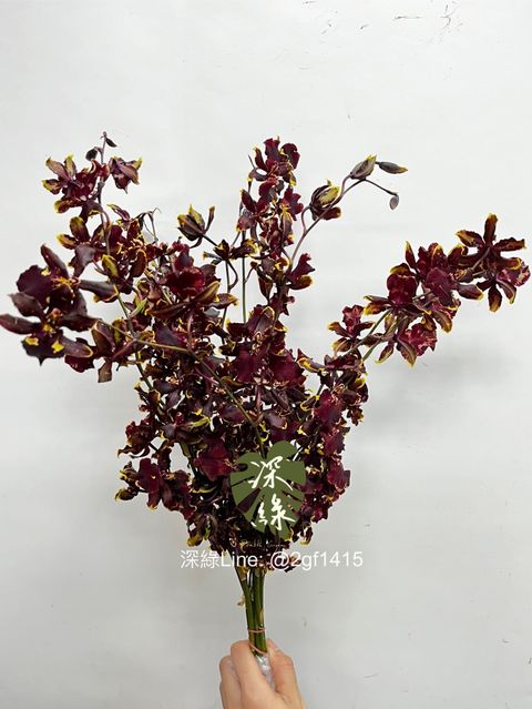 eZy Watermark_13-11-2024_12-10-22-5670下午-1731471196965