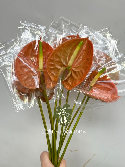 eZy Watermark_13-11-2024_12-10-23-0260下午-1731471515135