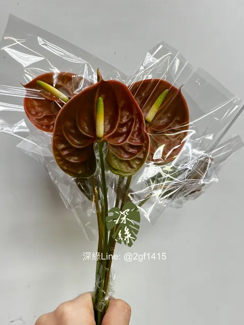 eZy Watermark_13-11-2024_12-10-23-1840下午-1731471542561