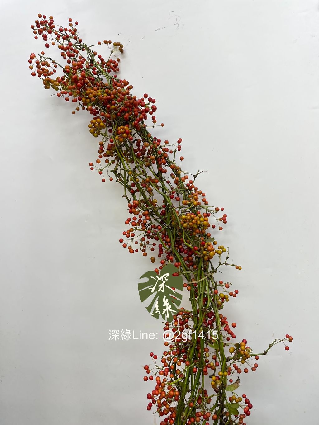 eZy Watermark_13-11-2024_09-47-48-2690上午-1731471932216