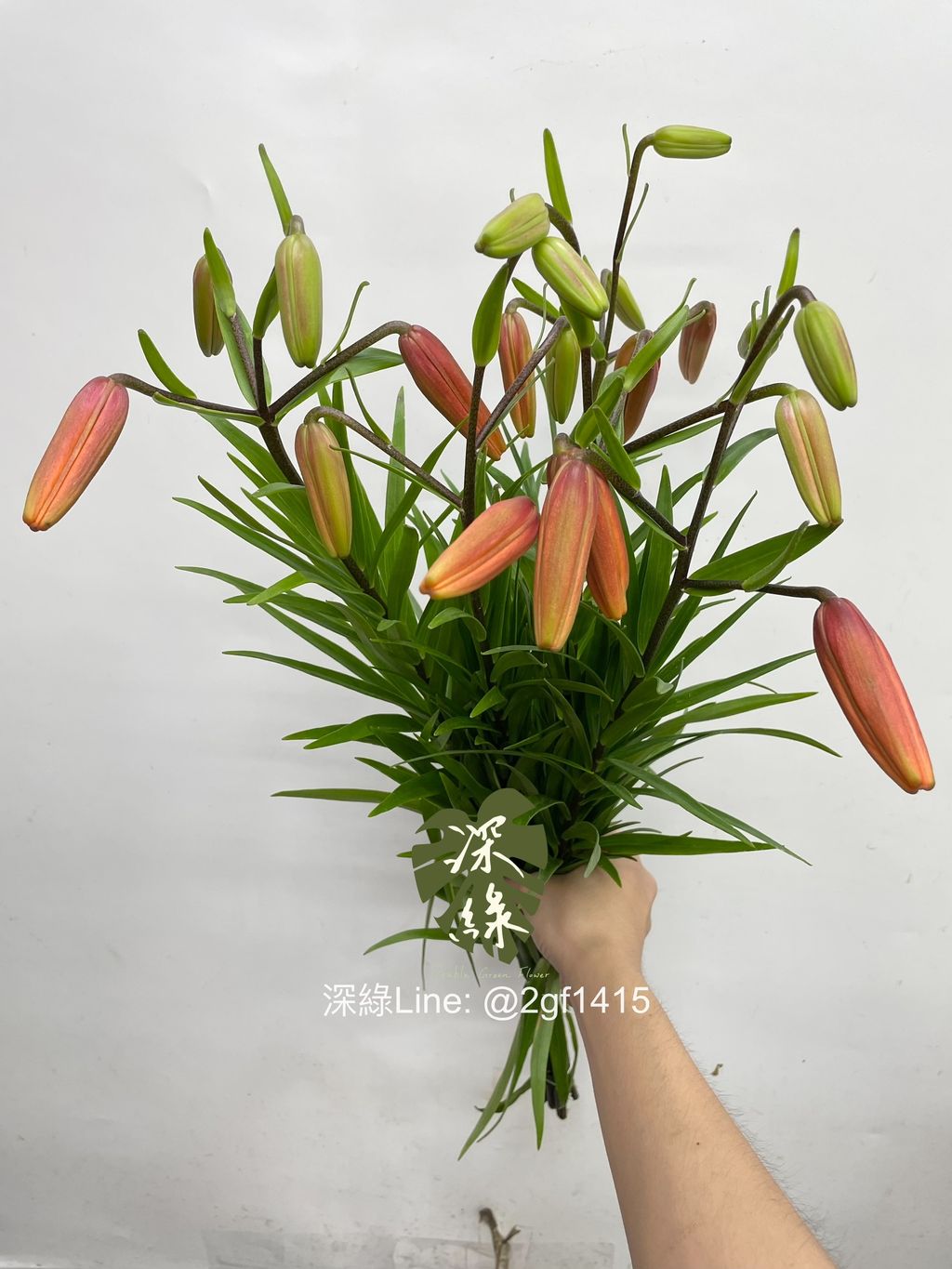 eZy Watermark_13-11-2024_09-47-51-9670上午-1731472137367