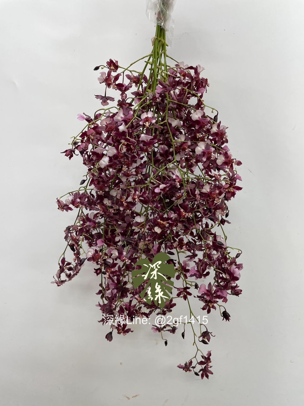 eZy Watermark_13-11-2024_09-47-50-9370上午-1731470939106