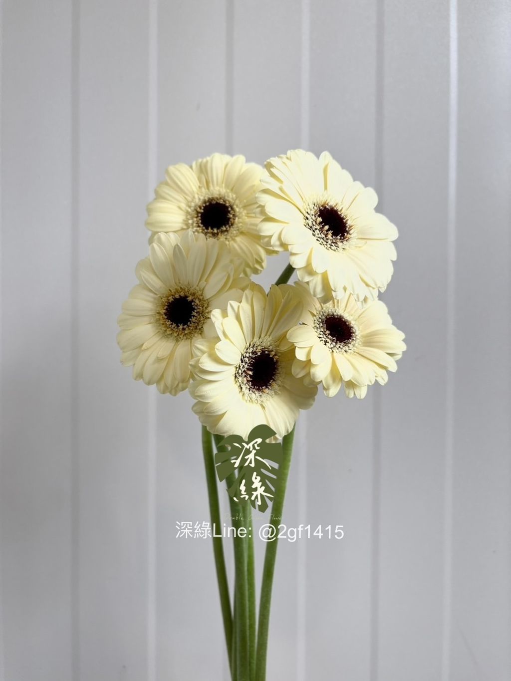 eZy Watermark_13-11-2024_06-35-55-0790下午-1731494385439