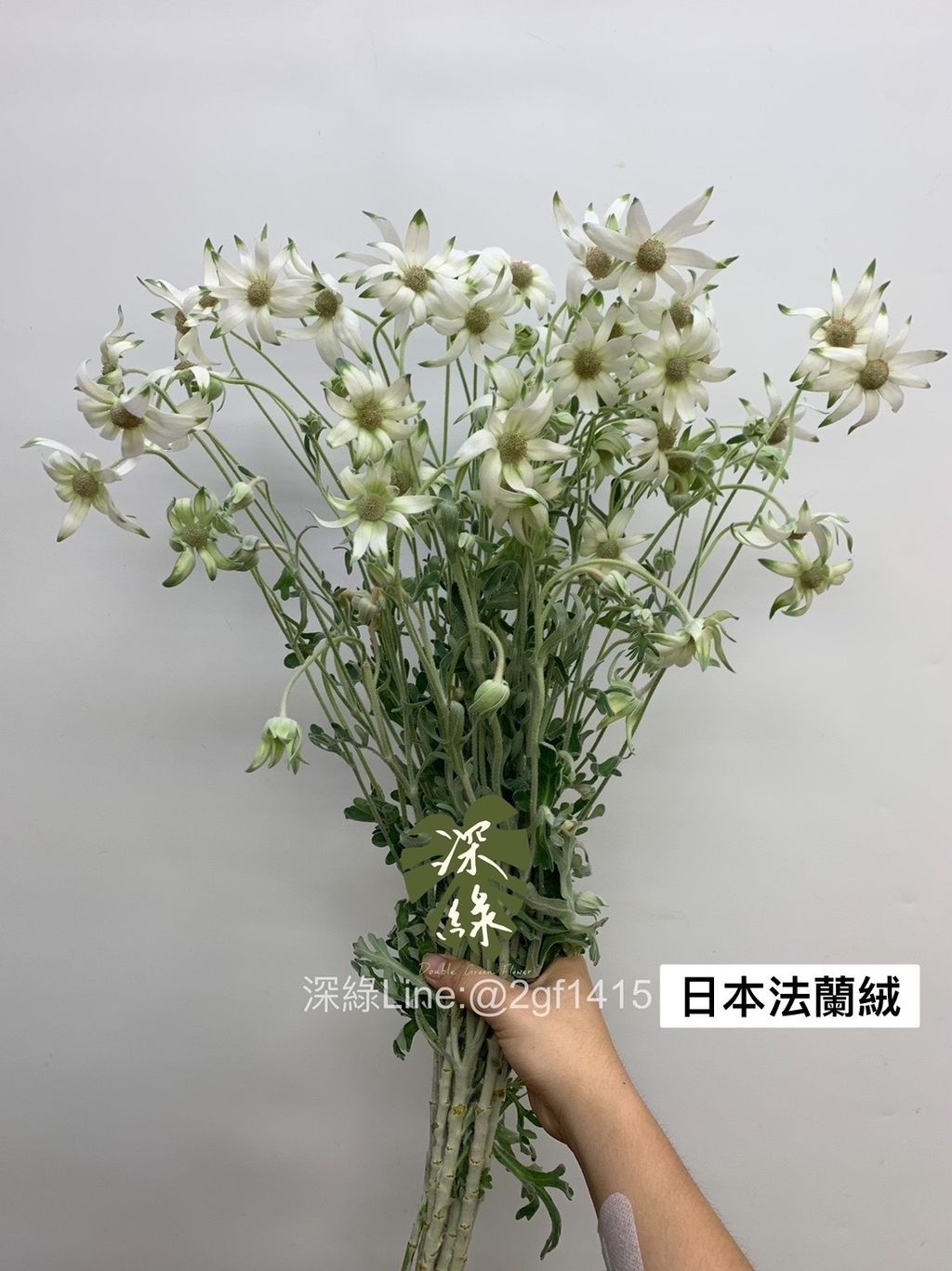 DD0D7DE0-74B4-41AB-B330-46B8B8F7DD81