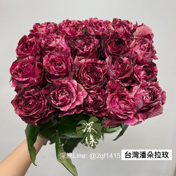 S__5054554