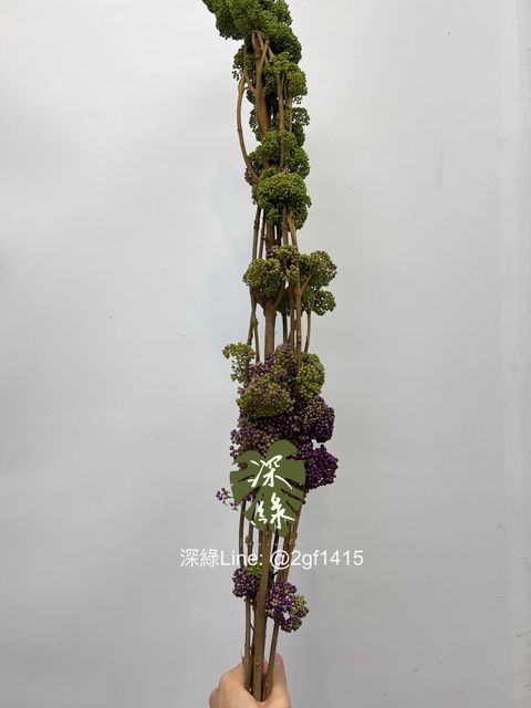 eZy Watermark_18-06-2024_12-04-55-9350下午-1718685166878