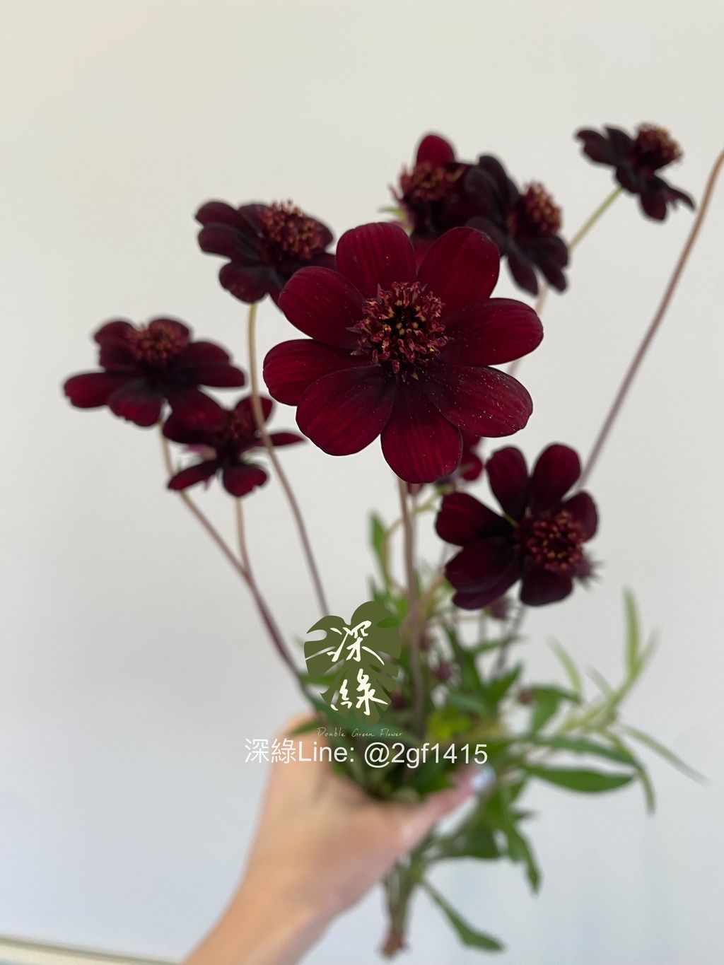 eZy Watermark_21-10-2024_07-13-04-0220下午-1729510625181