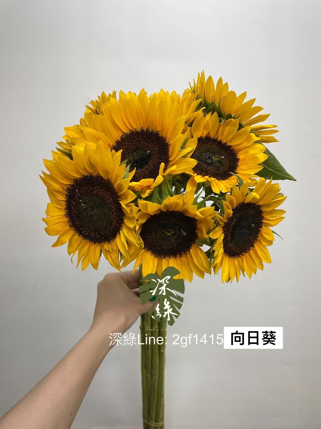 6CCCB528-99D8-47D1-A5FF-529B2CE7EFFD