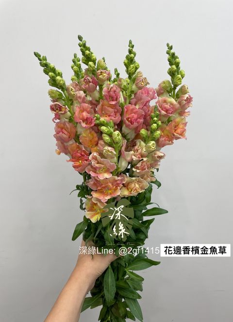 IMG_0134-1703728606207