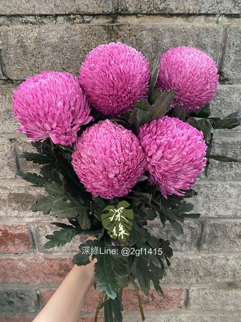 eZy Watermark_18-11-2024_06-47-12-5710下午-1731926872452