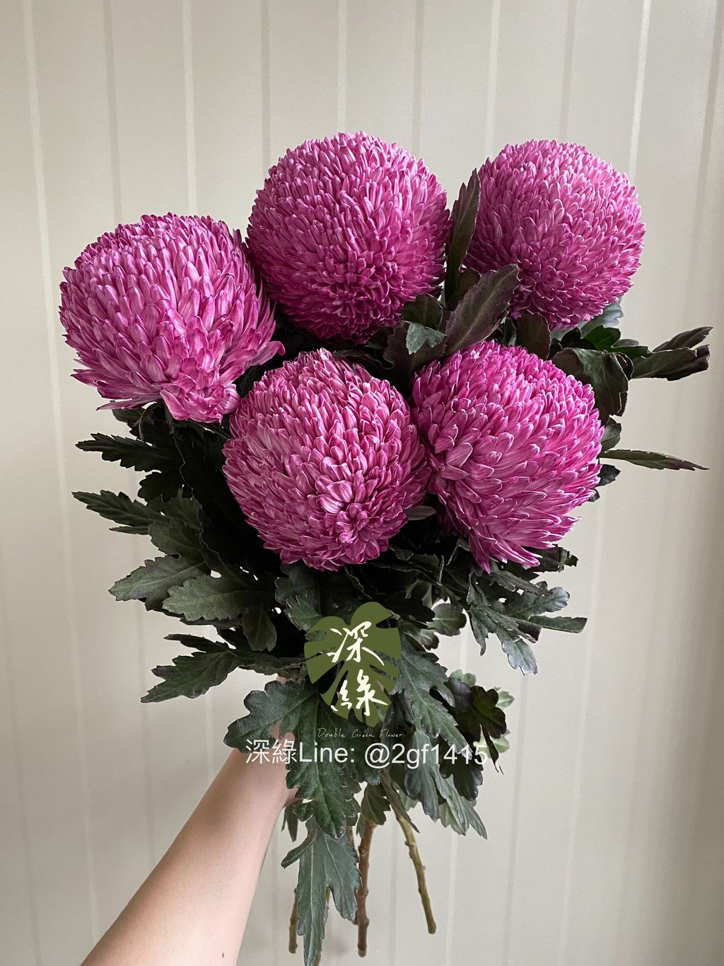 eZy Watermark_18-11-2024_06-47-10-0830下午-1731926872651