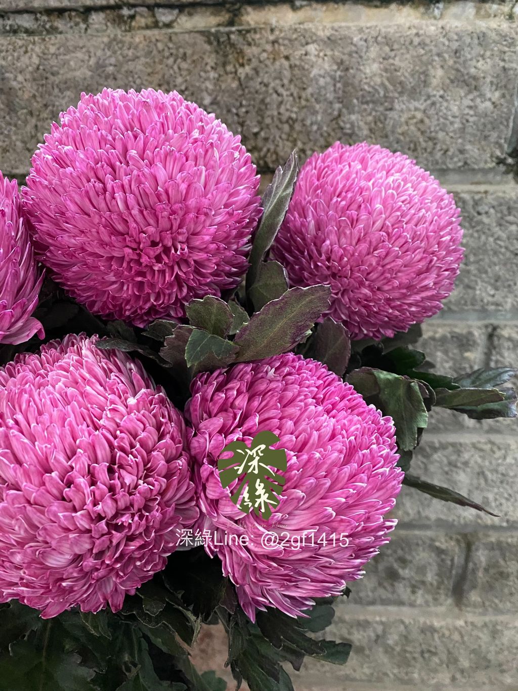 eZy Watermark_18-11-2024_06-47-05-1800下午-1731926872852