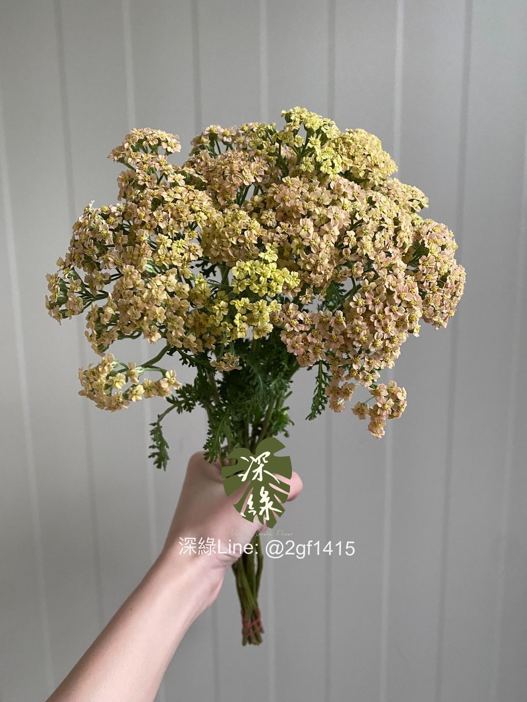 eZy Watermark_18-11-2024_06-47-15-0830下午-1731927413921