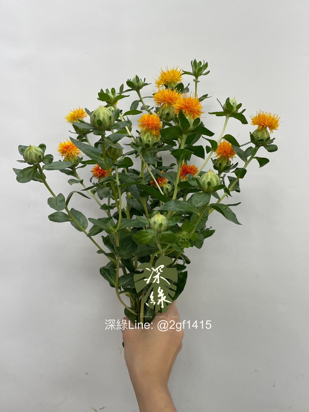 eZy Watermark_13-11-2024_09-47-47-7520上午-1731471655269