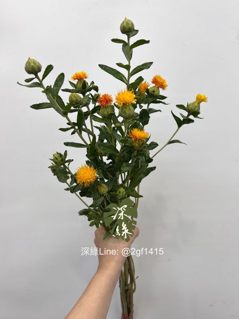 eZy Watermark_28-06-2024_09-45-36-0330上午-1719539244339