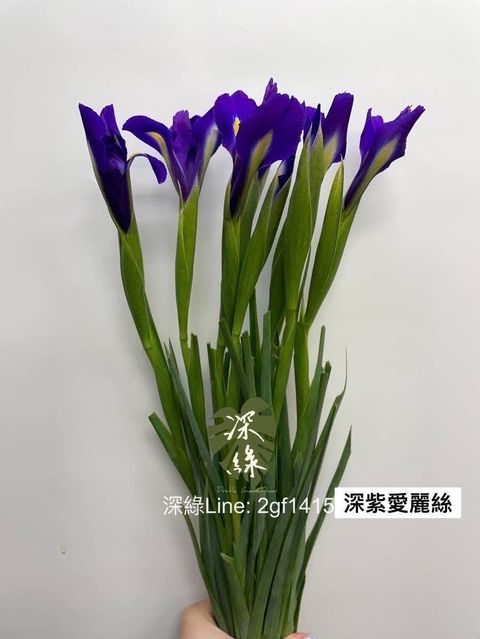 56875BAF-8395-47E8-96B3-913EF7D2B481