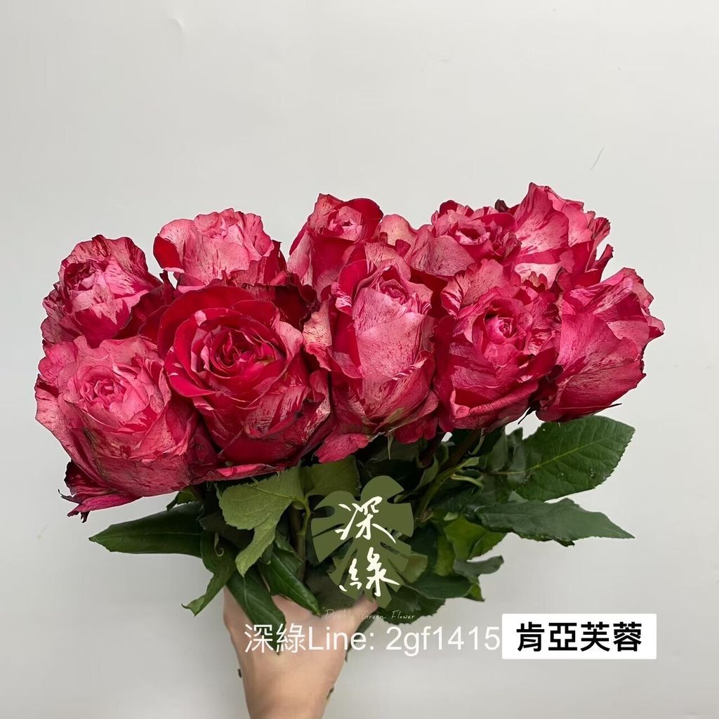 LINE_ALBUM_肯亞玫瑰🌹_231115_1